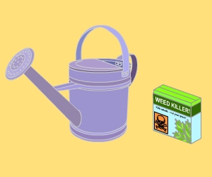 A watering can and a box of weed killer.